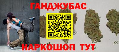 крисы Тулун