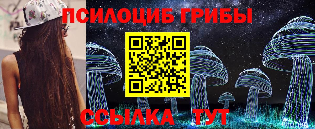 Галлюциногенные грибы Psilocybe Курган