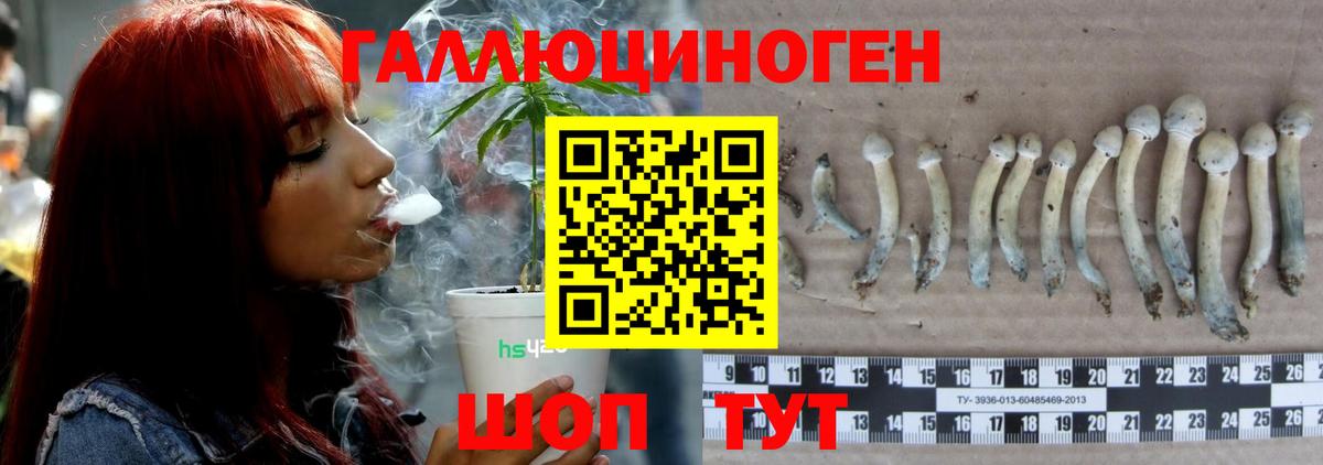 Псилоцибиновые грибы мицелий  Вход с VPN  Курган 